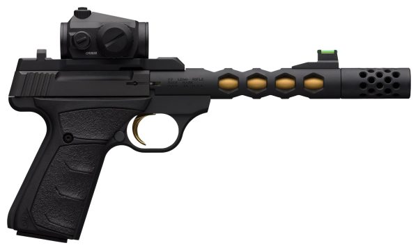 BRN BM PLS VIS BLK/GLD 22LR 10