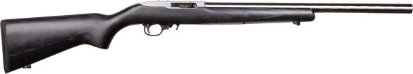 RUG 10/22TBBZCP 22LR SS LAM DE