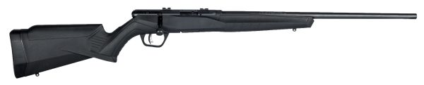 SAV B17F 17HMR BA RFL 10RD