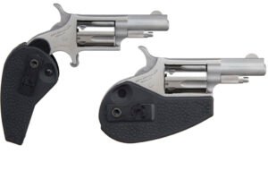 NAM MINI-REV 22LR 1.625SS HGRP