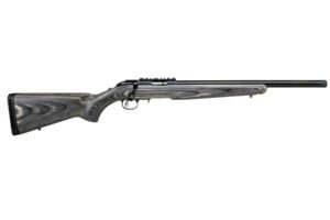 RUG AM RFL RF TGT 22LR 10RD