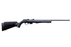 BRZ ROSSI RB17 17HMR BA 21B 5R