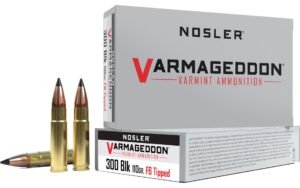 NOS 300BLK 110GR VARM FBT 20RD