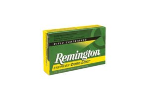 REM 25-06 100GR CORE PSP 20RD