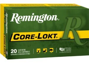 REM 270 100GR CORE PSP 20RD