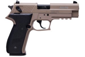 ATA GSG FIRFLY 22LR PS FDE 10R