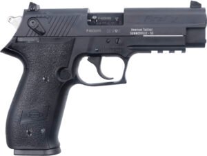 ATA GSG FIRFLY 22LR PS BLK 10R