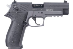 ATA GSG FIRFLY 22LR 10RD GRY