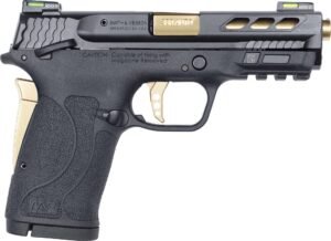 S&W MP2 SHDEZPC 380 GLD PRT