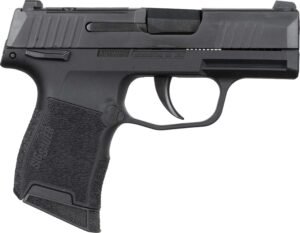 SIG P365 NIT PST 380 10R MS MA
