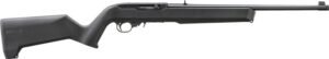 RUG 10/22 22LR 18 TB MPI