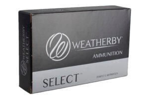WBY 300WBY 165GR INT 20RD