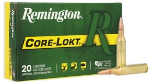 REM 243 100GR CORE PSP 20RD