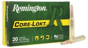REM 270 130GR CORE PSP 20RD