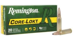 REM 300SAV 150GR CORE PSP 20RD
