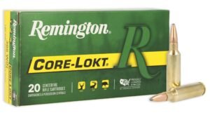 REM 300WSM 150GR CORE PSP 20RD