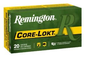 REM 6MMCR 100GR CORE PSP 20RD