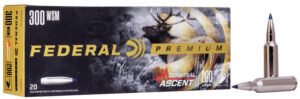FDR 300WSM 200GR TERM ASC 20RD