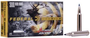 FDR 300 200GR TERM ASC 20RD