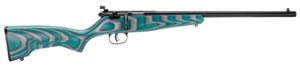 Savage Arms 13802 Rascal Minimalist Youth 22 LR 1rd 16.12" Matte Black Threaded Barrel, Satin Black Carbon Steel Receiver, Gray & Teal Hybrid Boyd's Minimalist Laminate Stock, Right Hand